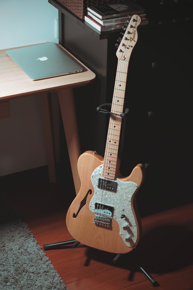 firefly telecaster guitar category image